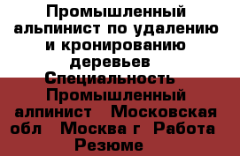 Промышленный альпинист по удалению и кронированию деревьев › Специальность ­ Промышленный алпинист - Московская обл., Москва г. Работа » Резюме   